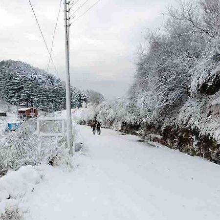 La Riqueza Dhanolti View # Near To Eco Park & Surkanda Devi Temple # Mountain View Rooms With Balcony # Big Parking # Customer Favourite Hotel Dhanaulti Exteriér fotografie