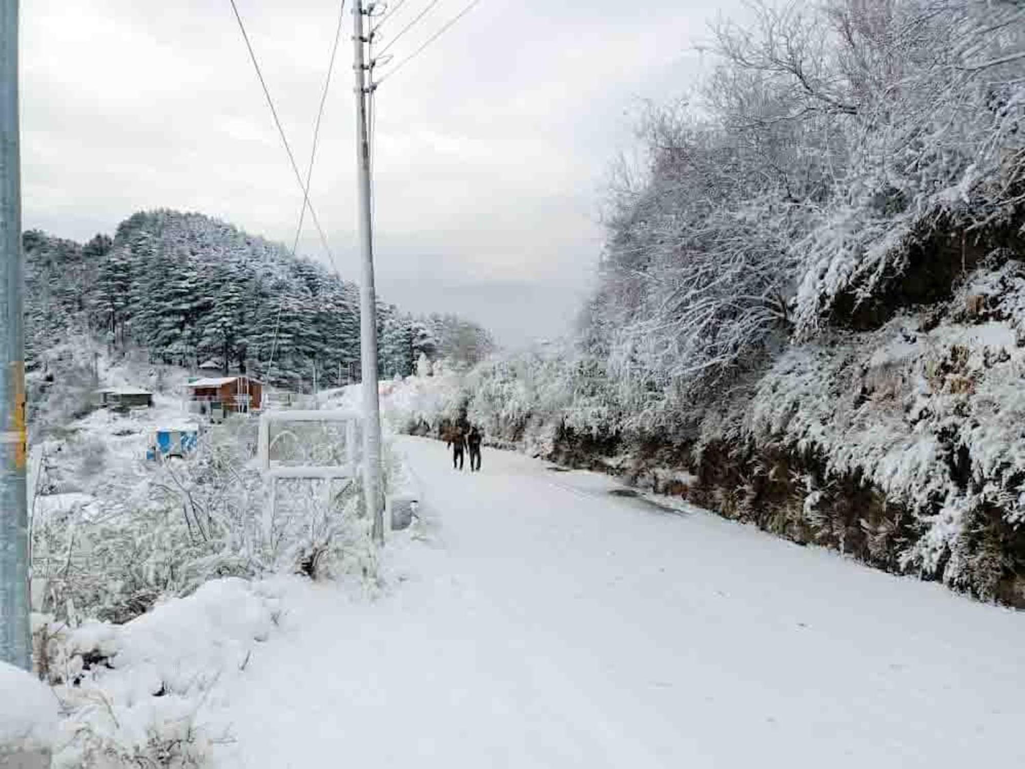 La Riqueza Dhanolti View # Near To Eco Park & Surkanda Devi Temple # Mountain View Rooms With Balcony # Big Parking # Customer Favourite Hotel Dhanaulti Exteriér fotografie