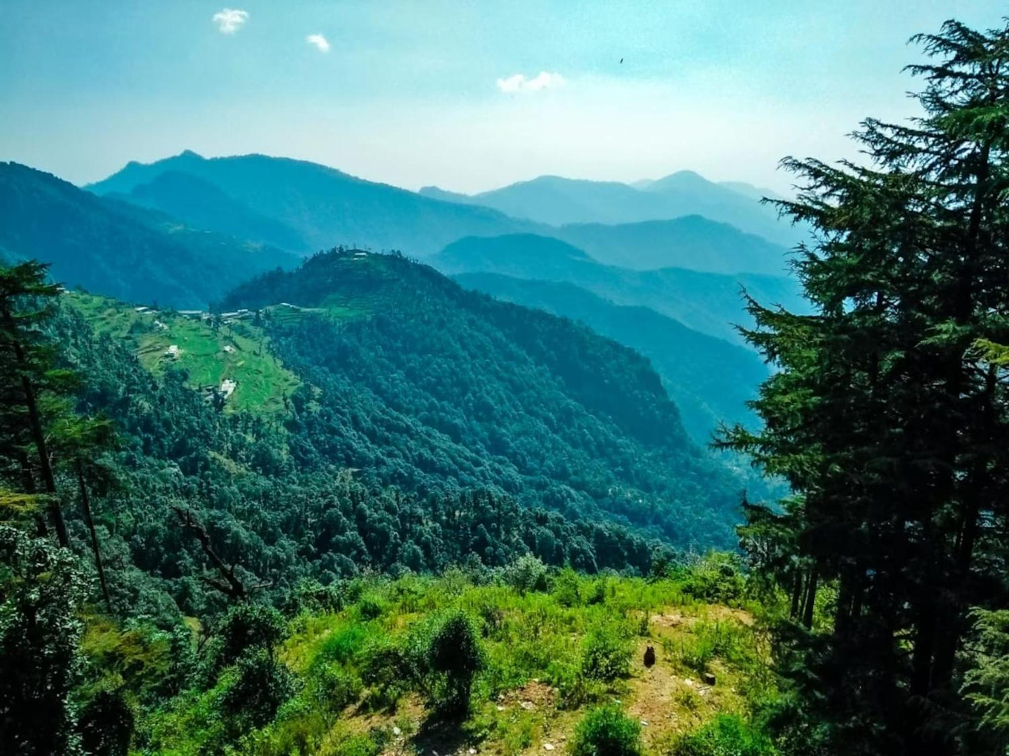 La Riqueza Dhanolti View # Near To Eco Park & Surkanda Devi Temple # Mountain View Rooms With Balcony # Big Parking # Customer Favourite Hotel Dhanaulti Exteriér fotografie